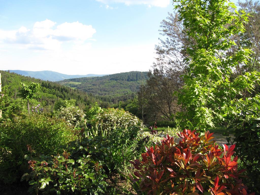 Le Petit Rias Gite Soleil Saint Maurice en Chalencon Bagian luar foto